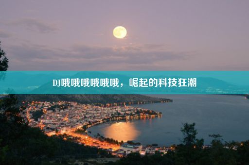 DJ哦哦哦哦哦哦，崛起的科技狂潮