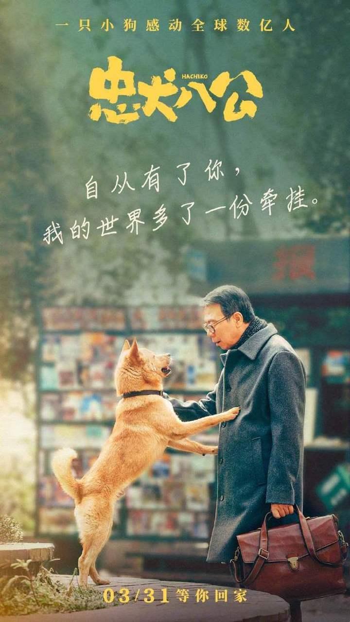 “中华田园犬电影狂潮，掀起网络笑谈新章”