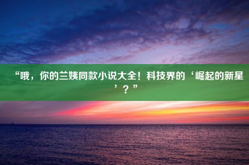 “哦，你的兰姨同款小说大全！科技界的‘崛起的新星’？”