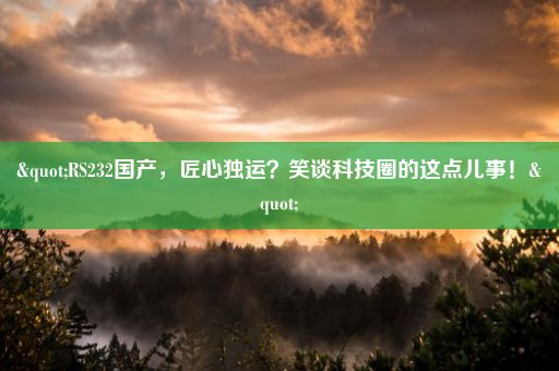 "RS232国产，匠心独运？笑谈科技圈的这点儿事！"