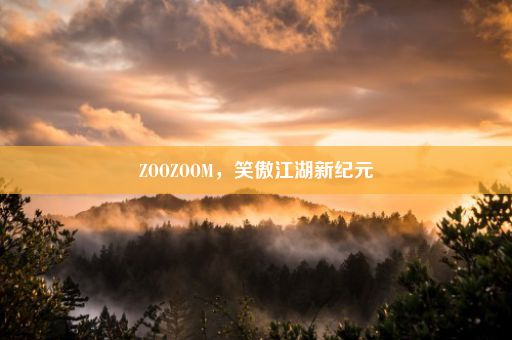 ZOOZOOM，笑傲江湖新纪元