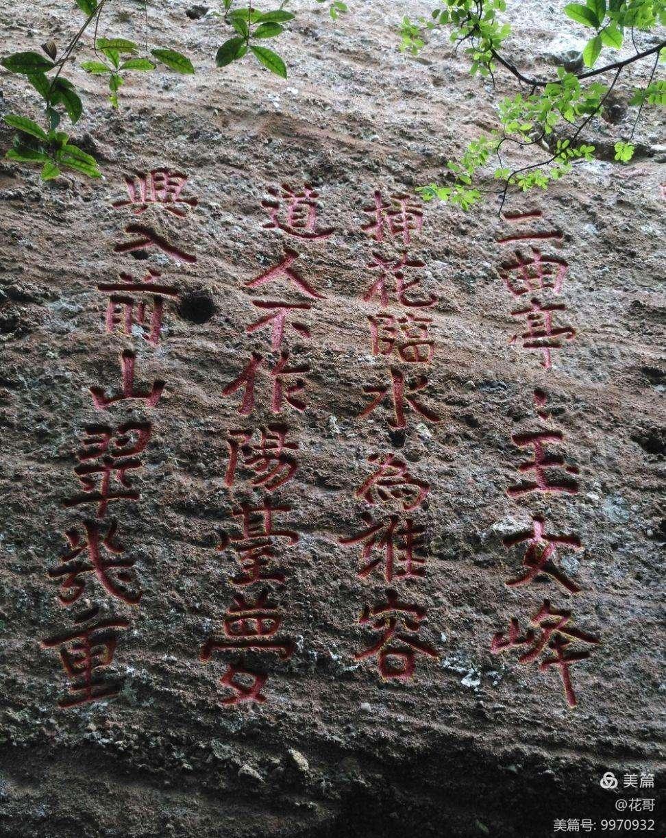 "玉女峰下，科技新星崛起的‘插花’传奇"