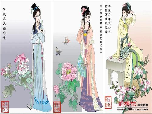 "玉女峰下，科技新星崛起的‘插花’传奇"