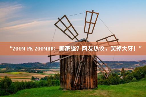 “ZOOM PK ZOOMHD：哪家强？网友热议，笑掉大牙！”