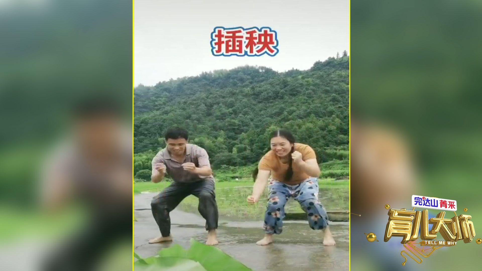 成功夫妻插秧法的共同点：歪批笑谈创新新时代