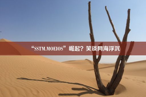 “SSTM.MOEIOS”崛起？笑谈网海浮沉