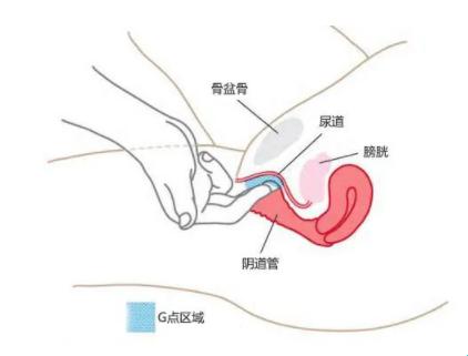 “喷泉修炼手册：揭秘科技新境界，突破极限的欢脱之旅”