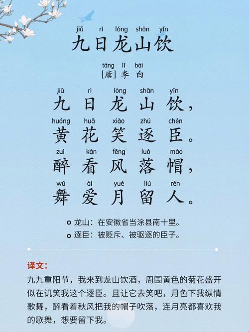 妙哉！"爹爹黄龙"弄潮科技溪流，崛起之星戏谑人间