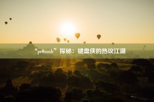 “pr0umb”探秘：键盘侠的热议江湖