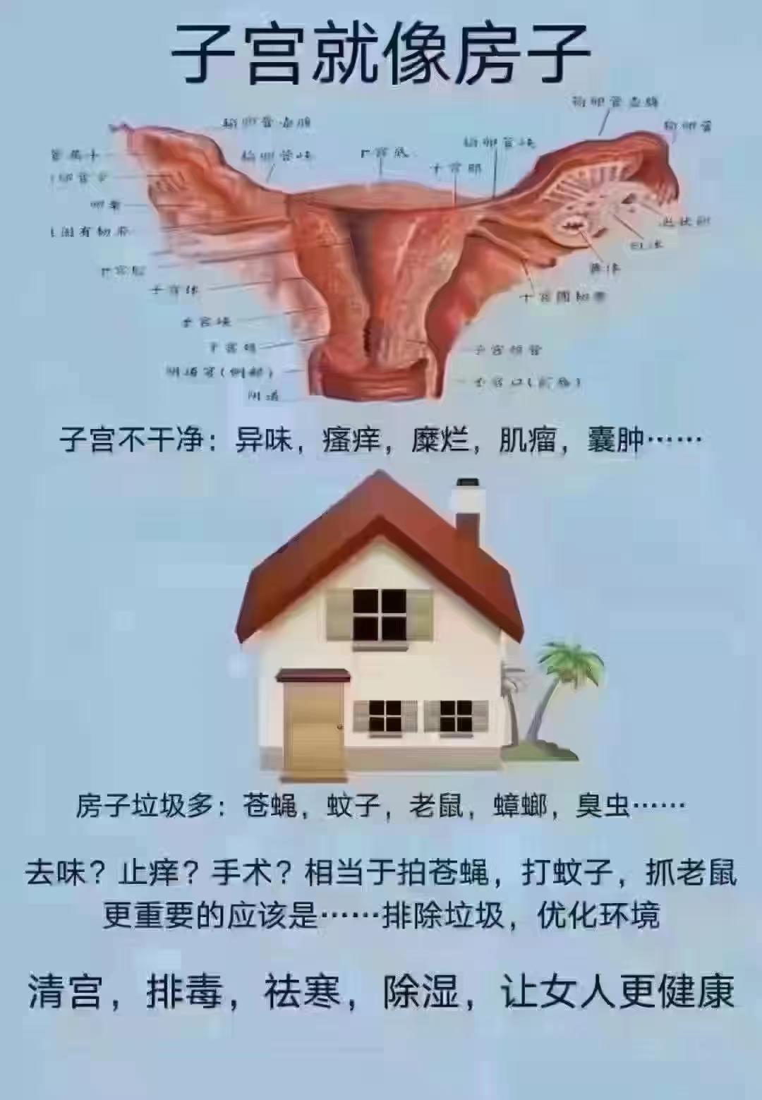 女性的秘密花园，白发逆袭的奇妙旅程