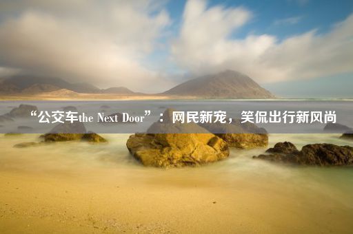 “公交车the Next Door”：网民新宠，笑侃出行新风尚