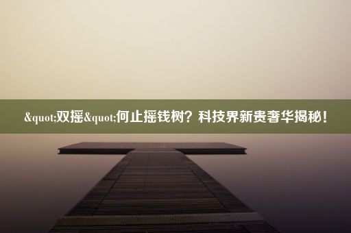 "双摇"何止摇钱树？科技界新贵奢华揭秘！