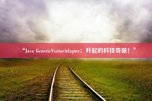 “Java GenericVisitorAdapter：升起的科技奇葩！”