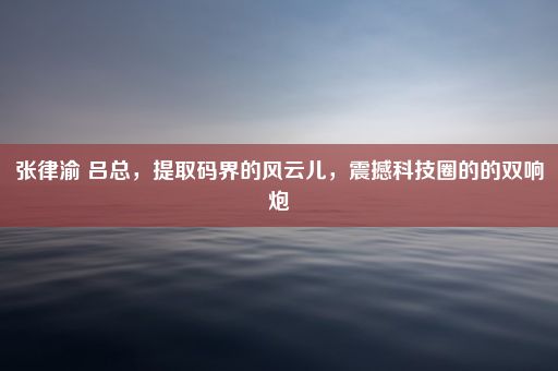 张律渝 吕总，提取码界的风云儿，震撼科技圈的的双响炮