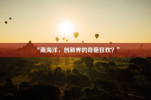 “南海洋，创新界的奇葩狂欢？”