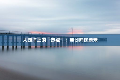 大西洋上的“热点”：笑谈网民新宠