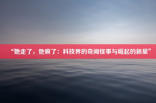 “她走了，他疯了：科技界的奇闻怪事与崛起的新星”