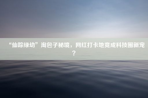 “仙踪绿幼”淘包子秘境，网红打卡地竟成科技圈新宠？