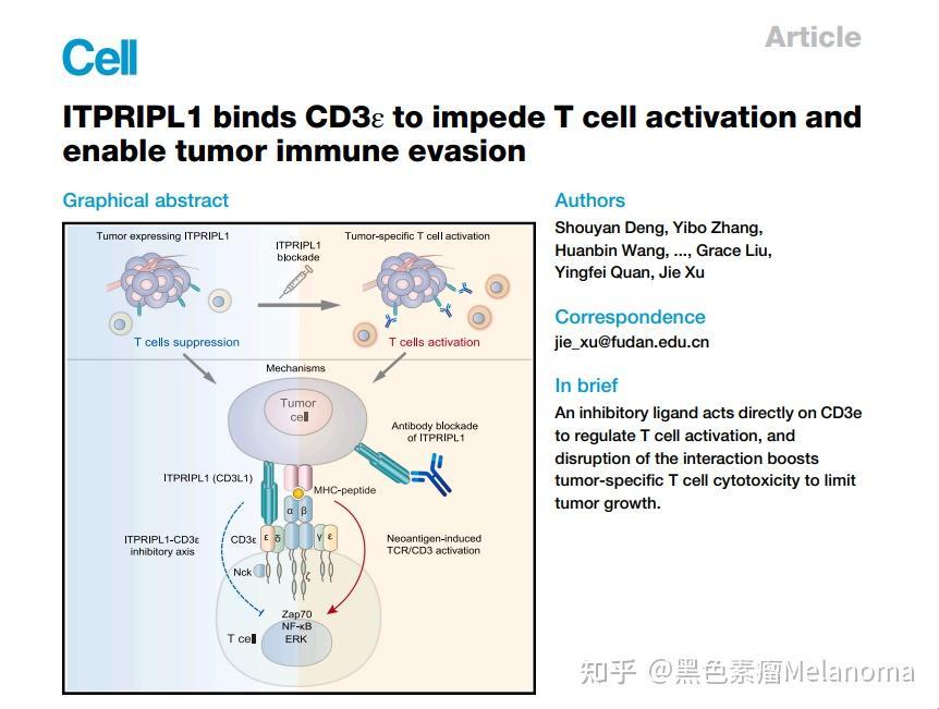 教授H1vl1升温：热度直冲云霄，笑谈科技新巅峰