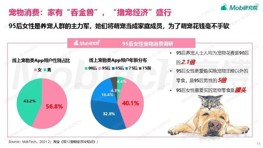 潮流捕手：骑风破浪的科技探秘之旅