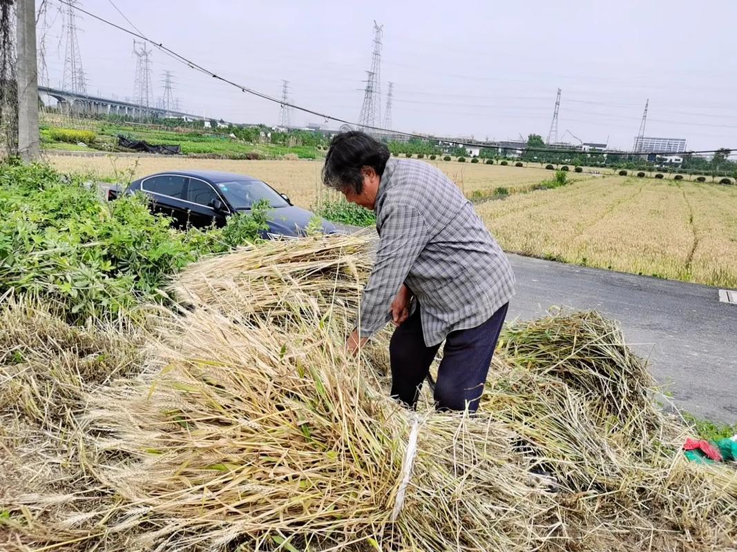 “子耕母田”的戏码：科技圈的荒诞喜剧