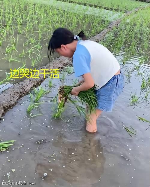 《耕女传奇：科技花田的奇幻漂流》