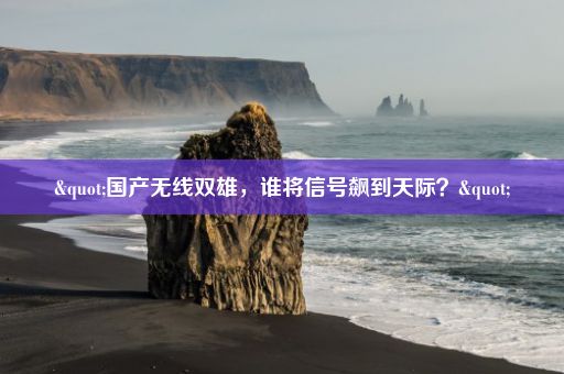 "国产无线双雄，谁将信号飙到天际？"