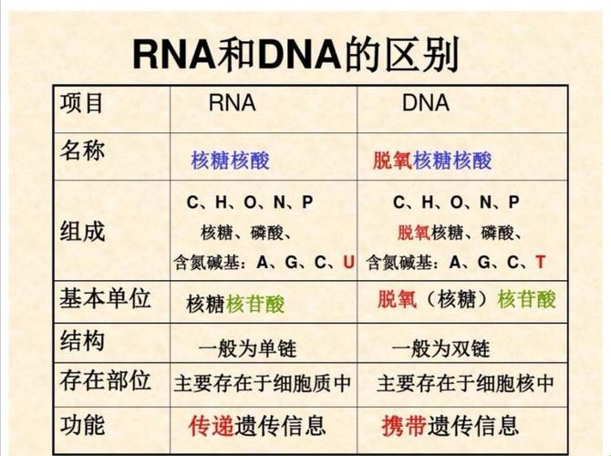 DNA与RNA：创新时代的跨界杂交，我竟无言以对