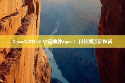 "WRITE.AS 小花抽肿"：科技潮流新风尚