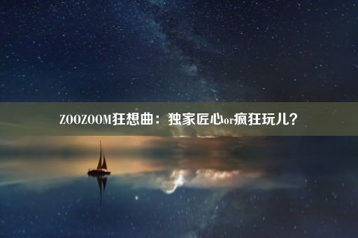 ZOOZOOM狂想曲：独家匠心or疯狂玩儿？