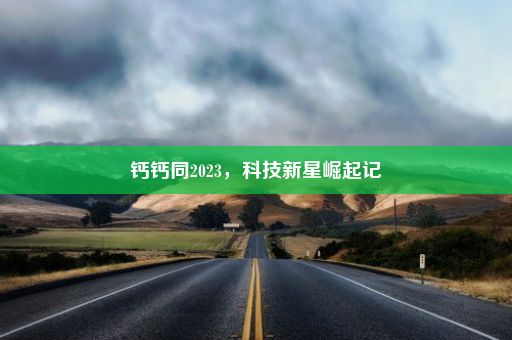 钙钙同2023，科技新星崛起记