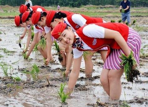 “耕云播雨，笑谈间领略匠心独运——科技圈新锐表情包探秘”