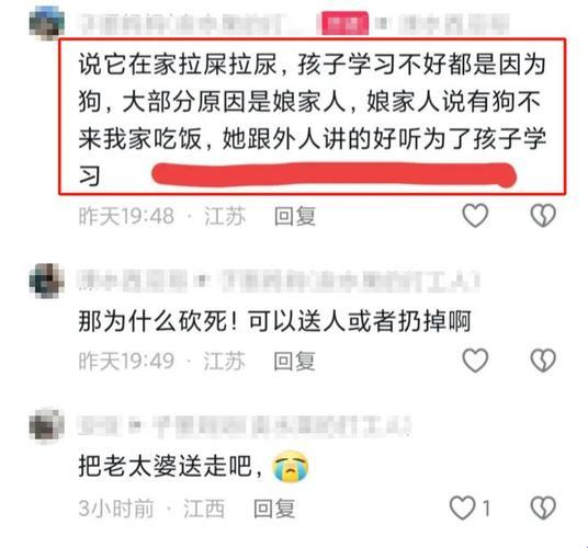 “汪星大战：婆媳养狗矛盾，全球围观笑而不语”