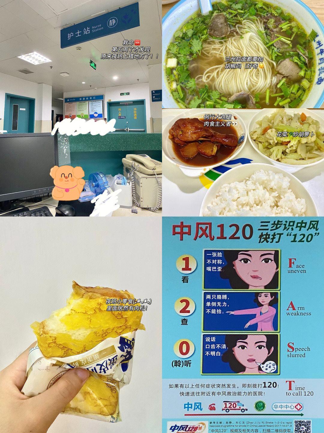 "科技狂潮中，'肉食教师'异军突起：一场非比寻常的食取报告"