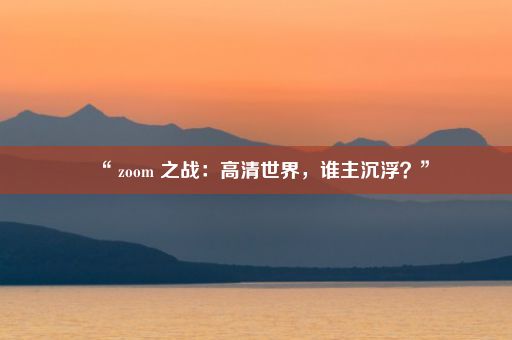 “ zoom 之战：高清世界，谁主沉浮？”