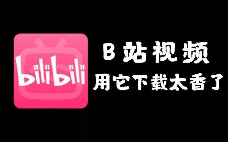 "网海冲浪，B站狂澜，浏览器里的震撼江湖！"