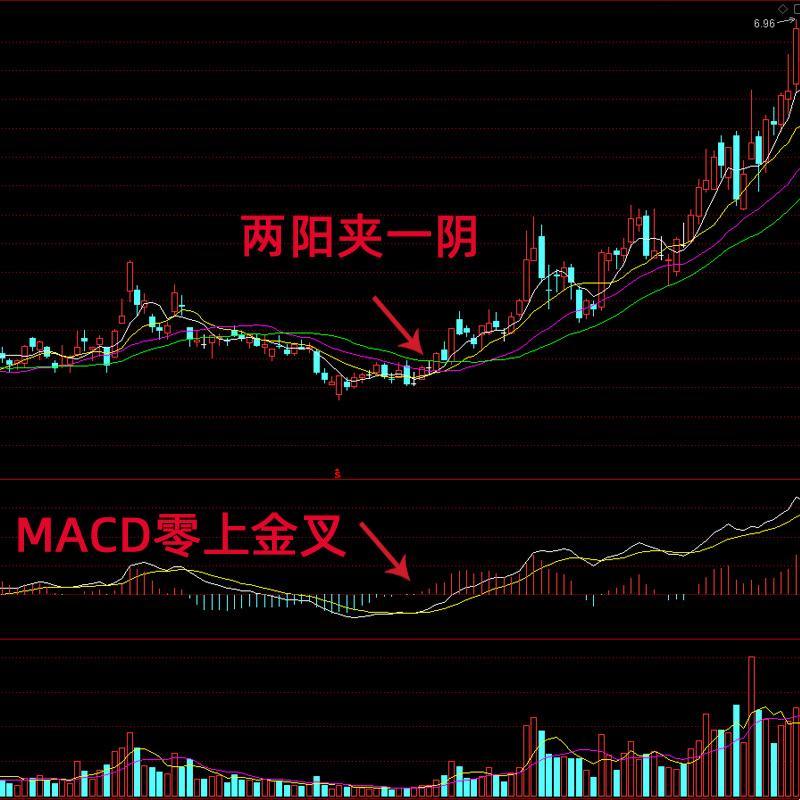 独领风骚，科技圈的两阴夹两阳：狂欢还是逃亡？