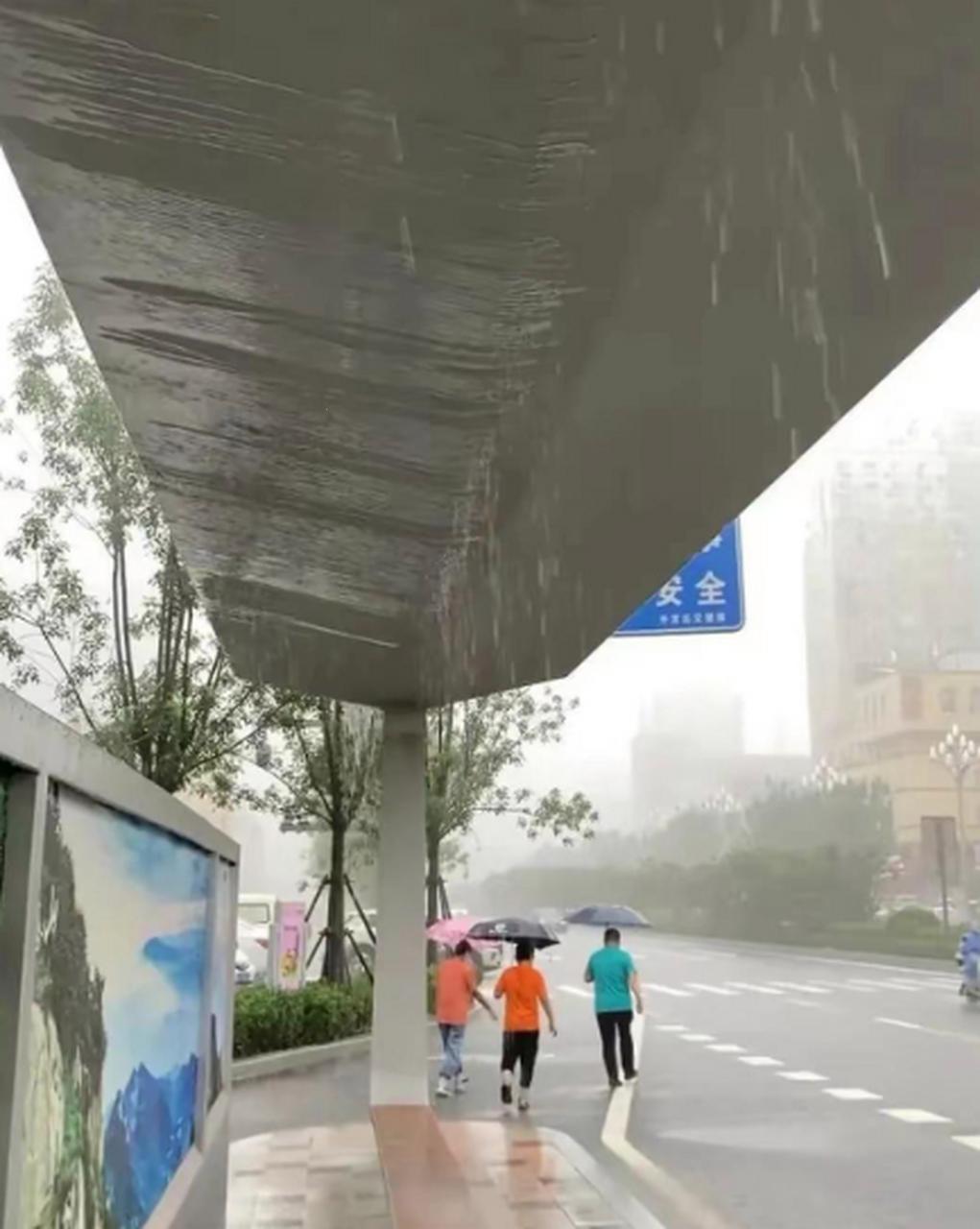 “雨天公交站避雨”热议背后：科技与生活碰撞的幽默反思