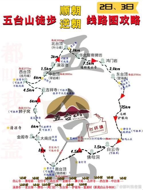 破界出道：科技路线神探揭秘，笑看凡间套路