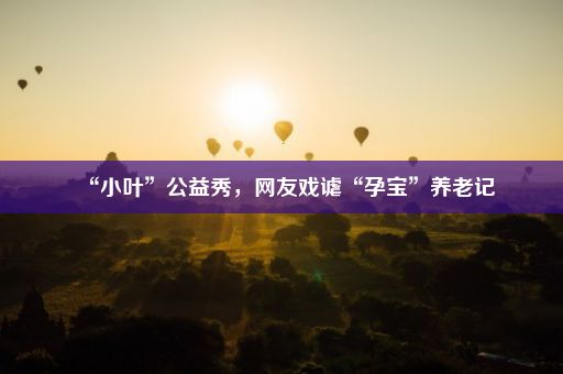 “小叶”公益秀，网友戏谑“孕宝”养老记