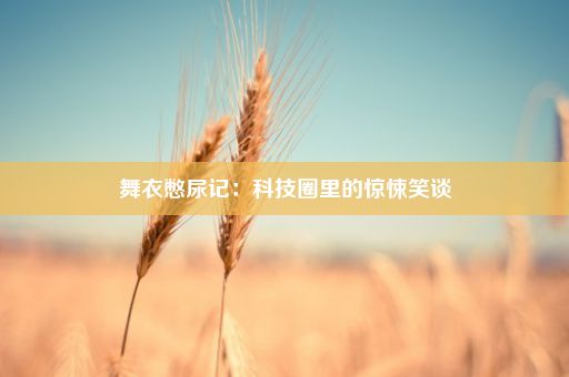 舞衣憋尿记：科技圈里的惊悚笑谈