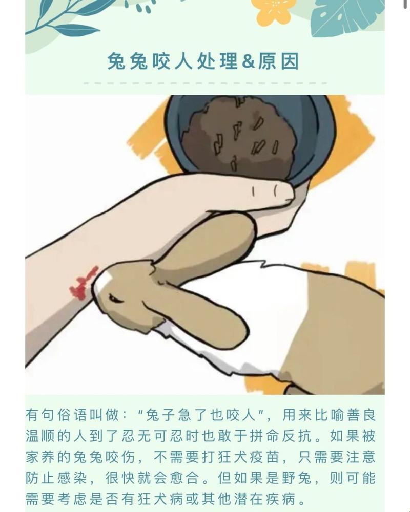 “咬后狂食”潮流兴起：兔子暴风吸入，网友笑谈新风潮