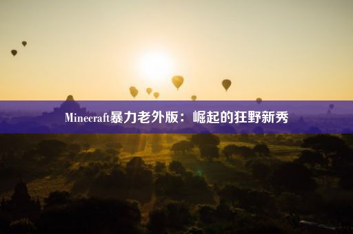 Minecraft暴力老外版：崛起的狂野新秀