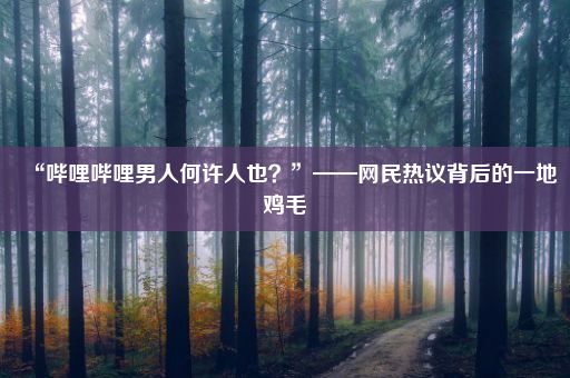 “哔哩哔哩男人何许人也？”——网民热议背后的一地鸡毛