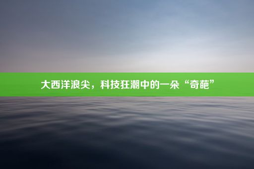 大西洋浪尖，科技狂潮中的一朵“奇葩”