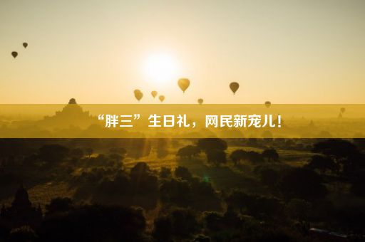 “胖三”生日礼，网民新宠儿！