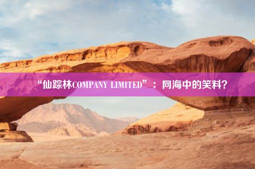 “仙踪林COMPANY LIMITED”：网海中的笑料？