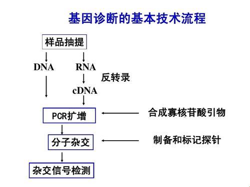 “DNA-RNA杂交，搞笑版科学新发现！”