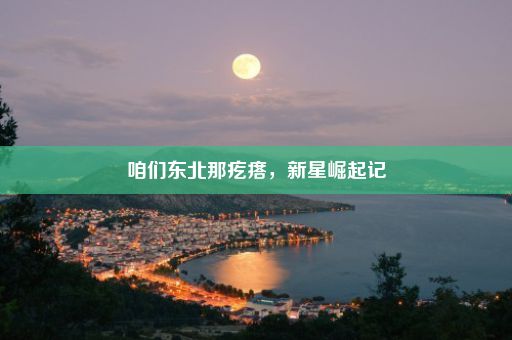 咱们东北那疙瘩，新星崛起记