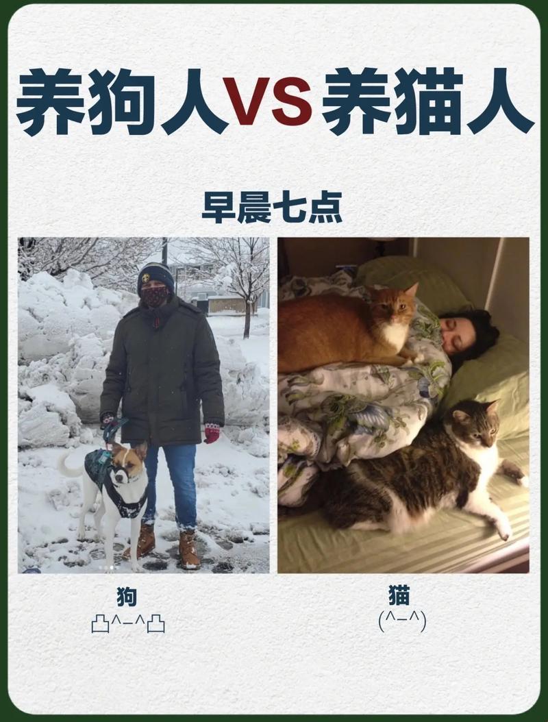 猫狗大战，还是世纪和解？网友热议：科技视角下的异域奇缘